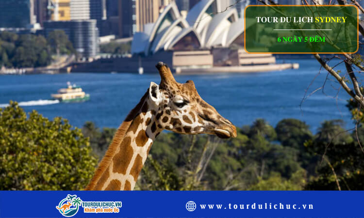 Tour du lịch Úc - Sydney 6 ngày 5 đêm